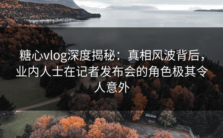 糖心vlog深度揭秘：真相风波背后，业内人士在记者发布会的角色极其令人意外