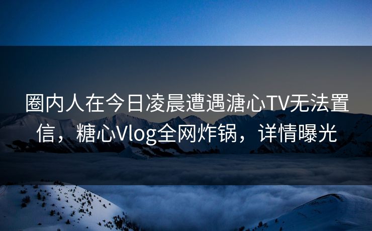 圈内人在今日凌晨遭遇溏心TV无法置信，糖心Vlog全网炸锅，详情曝光