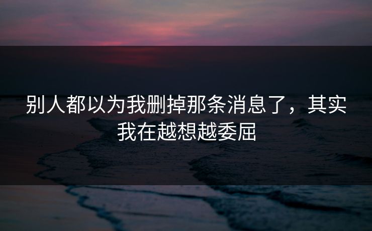 别人都以为我删掉那条消息了，其实我在越想越委屈