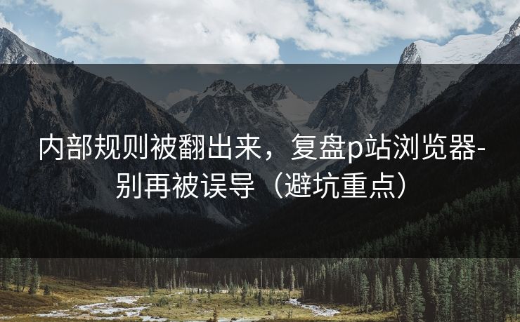 内部规则被翻出来，复盘p站浏览器-别再被误导（避坑重点）